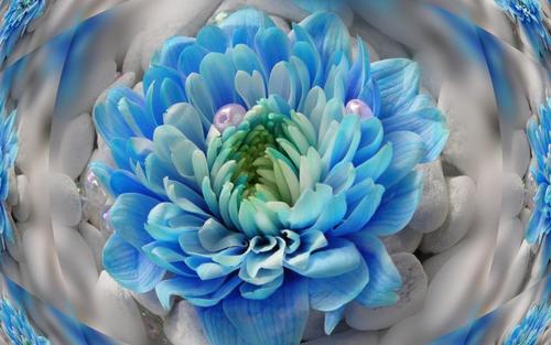 octoct11's profile picture. 