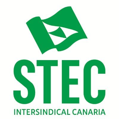 Sindicato de Trabajadores de la Enseñanza de Canarias-Intersindical Canaria