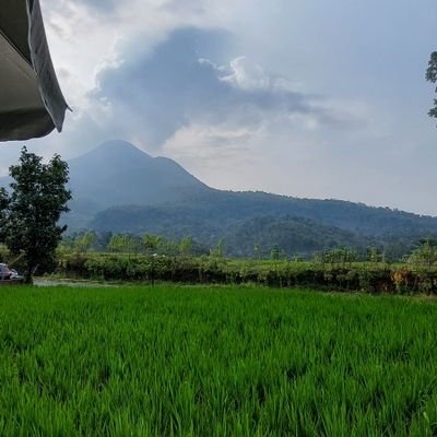 Elisawa22750217's profile picture. email: elisawatielisawati1@gmail.com