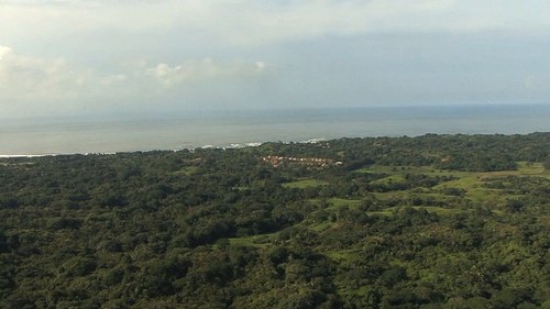 crconnections's profile picture. 