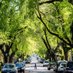 NCUrbanForestCouncil (@ncurbanforests) Twitter profile photo NCUrbanForestCouncil (@ncurbanforests) Twitter profile photo
