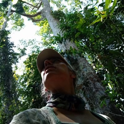 Ingeniera forestal, investigación del ecosistema amazonico, generación de modelos de conservación y defensa de grandes árboles.
Directora ejecutiva ARBIO Perú