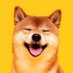 Doge93 (@Dogecoin93) Twitter profile photo