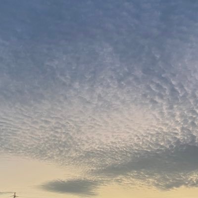 oznkx35's profile picture. ほぼＲＯＭ