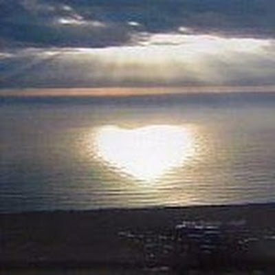 robin12046's profile picture. 