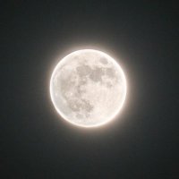 The Moon (@_themoonpics_) 's Twitter Profile Photo The Moon (@_themoonpics_) 's Twitter Profile Photo