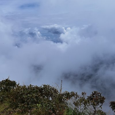 FZero64's profile picture. 