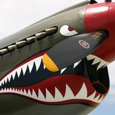 Cathawk12's profile picture. 