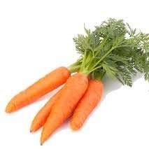 greatestcarrot's profile picture. 