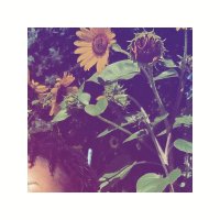 ItsGGHeaux (@grey_genius) 's Twitter Profile Photo ItsGGHeaux (@grey_genius) 's Twitter Profile Photo