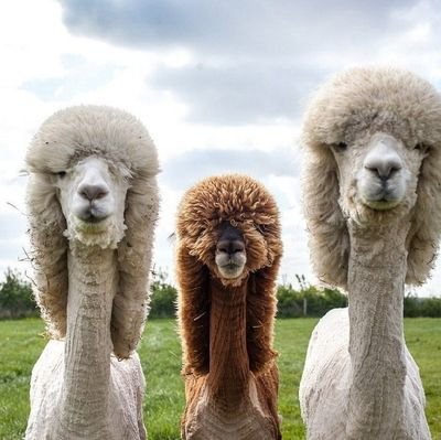 Robertceyi's profile picture. 