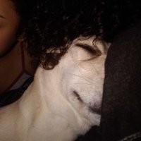 twofoca 🎮 (@twofoca) 's Twitter Profile