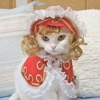 baba (@babakarto) 's Twitter Profile