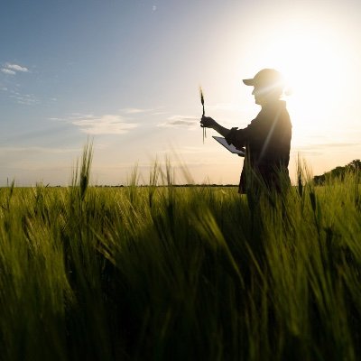 An aggregated twitter account about farming for a project to learn more about general farming.