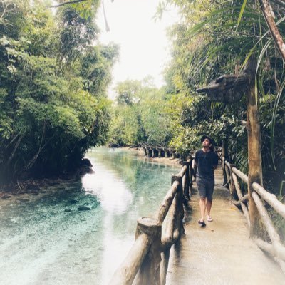 arkmads's profile picture. degen by day; hodler by night