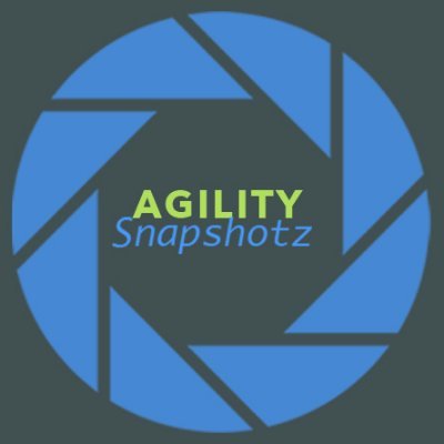Dog Agility Instructor, competitor, and enthusiast based outside Boston, MA.