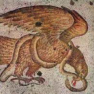 DichotomySqr1's profile picture. Intuitive