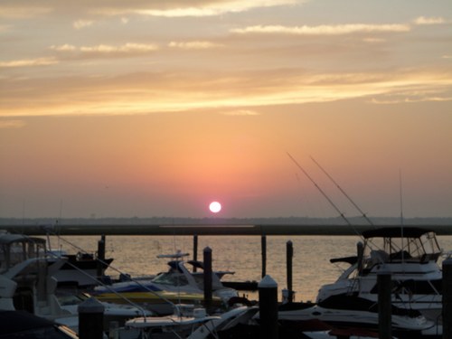 hlubell's profile picture. pediatrician, wife and mom of two young men, runner, reader,