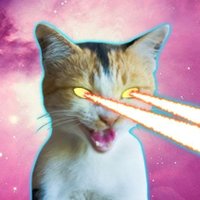 Altcoinist.eth (💙,🧡) (@protocolupdate) 's Twitter Profile