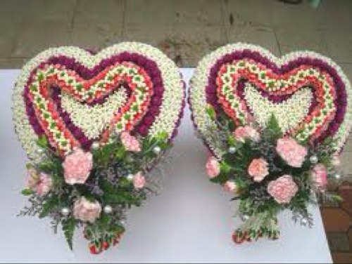 sodaza299's profile picture. 