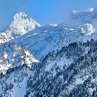 flacfralac's profile picture. 