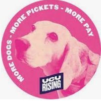 Mandy J Rose (@collabdocs) 's Twitter Profile