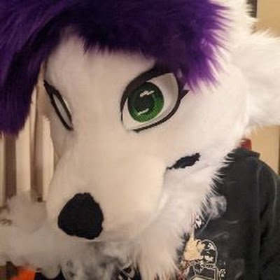 18+ Couples Murrsuit Account | DM Friendly | 🏳️‍🌈🏳️‍⚧️ | Hugs on sight approved 🎉 | Lvl. 28🦊/23🐺 | 🚫Minors-Zoo's-Pedo's🚫