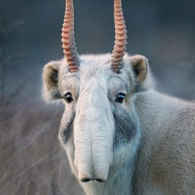 Roberta18449295's profile picture. God
Family wife 
free speech...
freedom...
I block stupidity