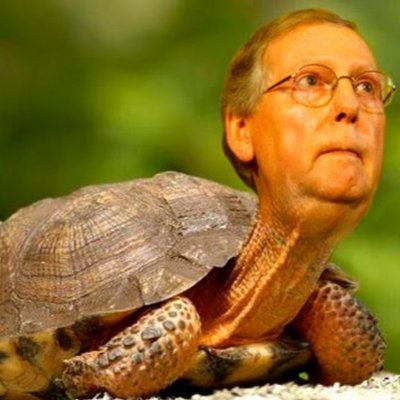 Swamp Creature From Kentucky