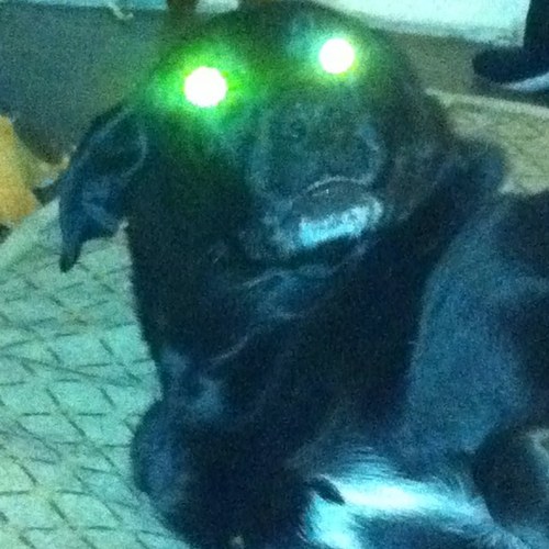 danbert73's profile picture. Balancing between being an IT nerd and trying to do my first triathlon.