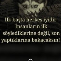 serhat (@shacioglu4) 's Twitter Profile
