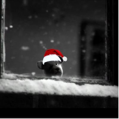 ilya_ilyich_'s profile picture. sor bakalım, adam diye kaydımız var mı?
#migraine