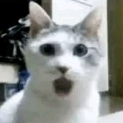 nuh uhさんのプロフィール画像