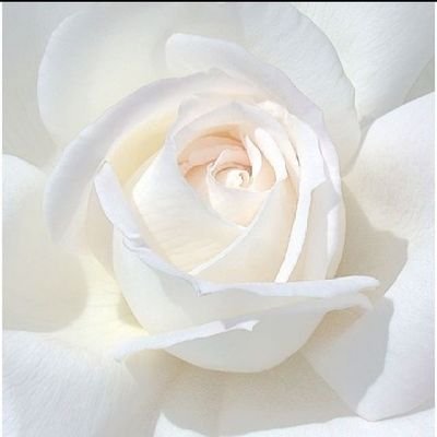 Uchennadave77's profile picture. Me Myself and I