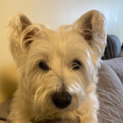 martyfrom716's profile picture. @markpoloncarz SuperFan. Likely to know your Mom. Ranked Top .05% in the world for listening to the same song over and over. Fantasy Football team manager.