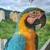 Gustavo Hernandez (@gustavo47375544) Twitter profile photo