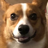 Gavin Velour (@blammo20301) 's Twitter Profile