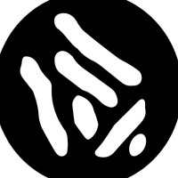 idrisveitch.eth (@idrisveitch) Twitter profile photo