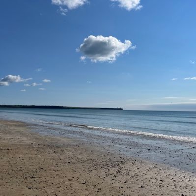 MaryMcD8241's profile picture. 