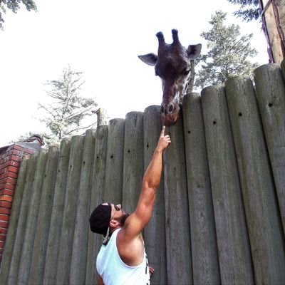 d0mi_87's profile picture. 