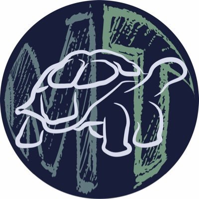 themathturtle's profile picture. all things math