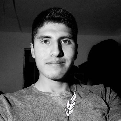 DinoMaynasa's profile picture. abecedario