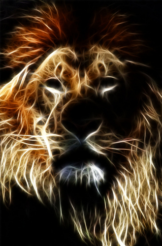 tafadzwapk's profile picture. 