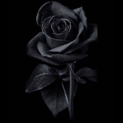 kenapakidz's profile picture. .