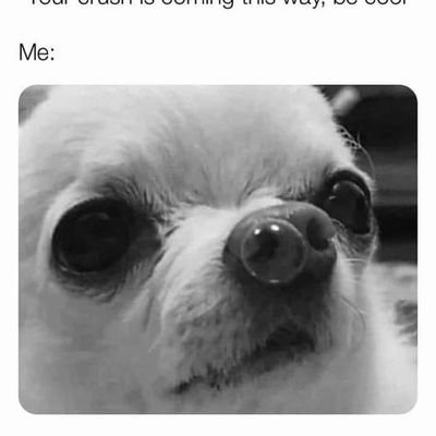 SteveDrefke's profile picture. NO DM.                       retired union laborer.             negativity breeds failure,, don't piss in my cornflakes😉