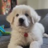 Qwiktrip's profile picture.