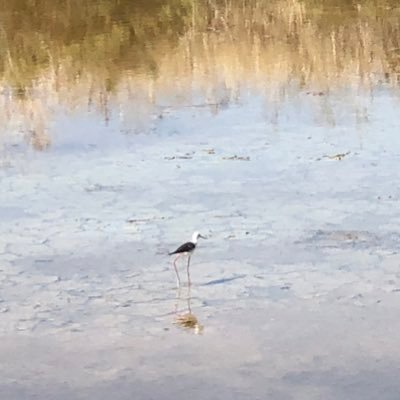 bleedingedgeSCD's profile picture. Bam!