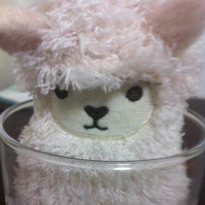 rest.ardさんのプロフィール画像