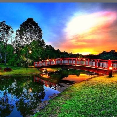 abood7051's profile picture. 