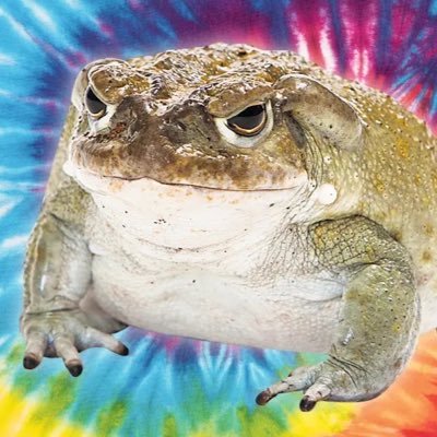 toadsmatter Profile Picture